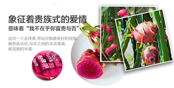 【洋果坊】越南红心火龙果5斤 新鲜红肉火...