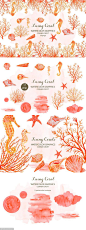 海洋生物水彩插画素材 Watercolor clipart living Coral