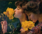 Franz Dvorak - Four Roses, 1903
