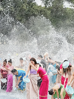 Uglyorange采集到海、水、树