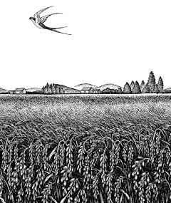 zhouwei8采集到版画Printmake