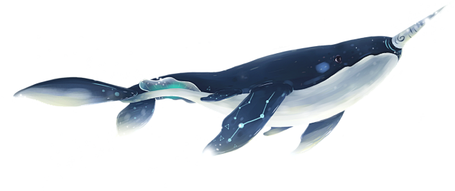 手绘 鲸鱼 PNG素材