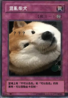 愛尔皮采集到狗狗
