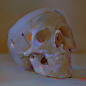 color study, skull, Yanjun Cheng : color study, skull