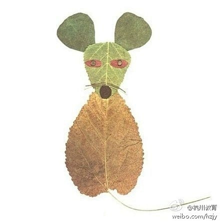 最近马路上、学校里、小区都会看到好多落叶...