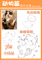 【动物篇】小猫咪的“萌态” - 小红书