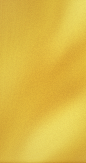 4523704432.png