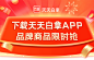天天白拿