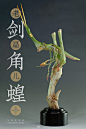 我的首页 微博-随时随地发现新鲜事