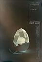 black swan1 Black Swan #采集大赛#