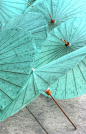 themagicfarawayttree:

Aqua Umbrella’s, Photography by Douglas J. Fischer