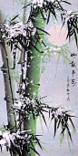 Bamboo- chinese ink brush painting