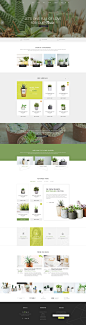 Flowie - Delightful PSD Template for Home Decoration on Behance #绿#