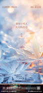 小雪海报-源文件-志设网-zs9.com
