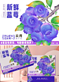 水果包装设计｜蓝莓包装设计｜农产品包装 - 小红书