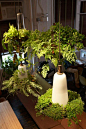 GreenLight design3 Green Light 清新绿植吊灯 打造私家空中花园http://www.yipinpo.com/talks/11742 #手工# #DIY# #废物利用# #旧物利用# #编织#