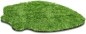草地