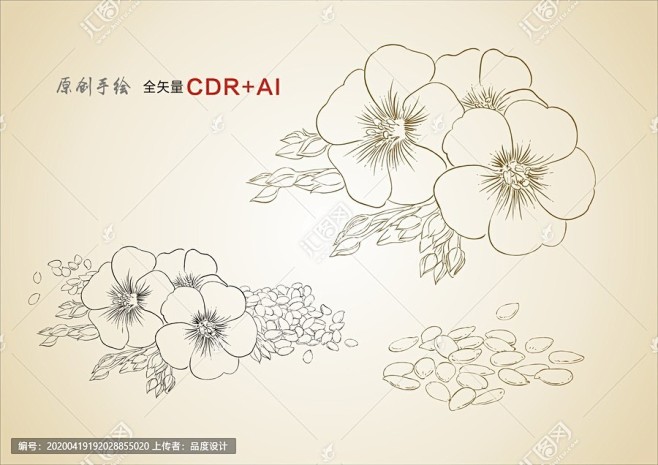亚麻籽亚麻花