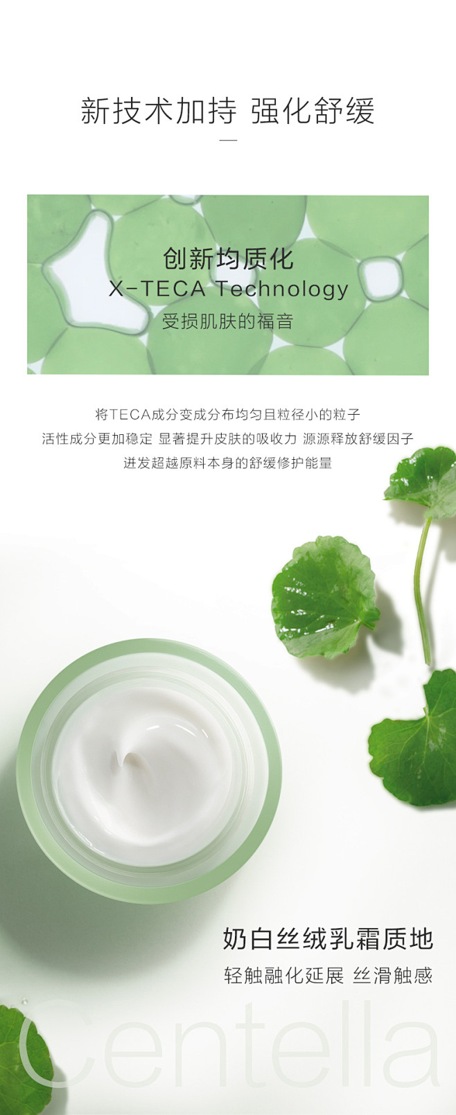 积雪草面霜商详3_08.jpg