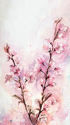 插画 文艺 花 LINE  换不完的手机壁纸..