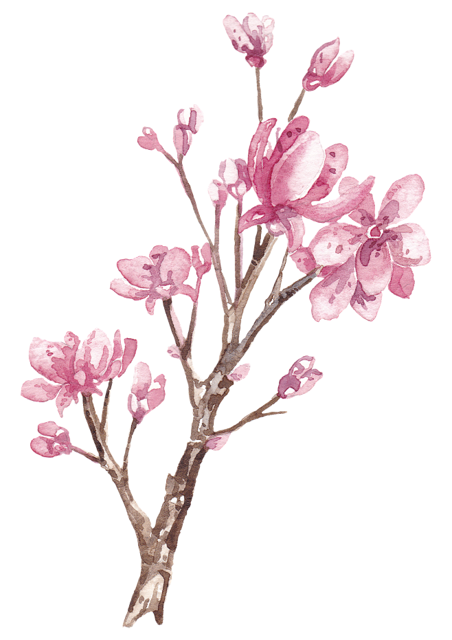 植物素材png