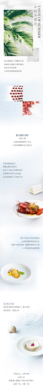 夏季菜长图