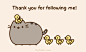 Pusheen the cat