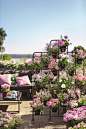 d2FjPTg1MHgwLjY2Ng==_src_97646-2019_Geraniums_400_Modern_Style_013.jpg (850×1276)