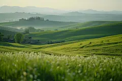 绿色优美自然风景桌面壁纸