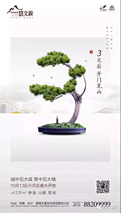 青雨的采集到排版