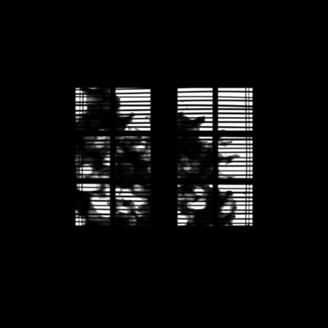 GSG_Gobos_Windows_Bl...