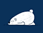 Sleeping Bear  hybernate sleeping loop hand drawn cute character bear animation after effects