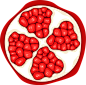 Pomegranate Slice