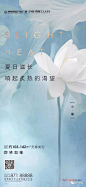 【盘点】2019小暑海报单图选中选 : 后台回复关键词，自动获取节日节气海报