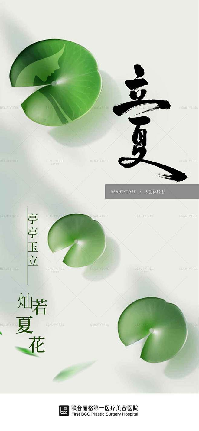医美、立夏、品牌