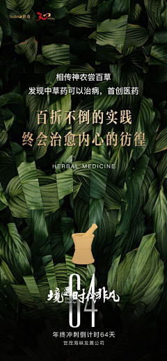 藤冈靛的小仙女采集到中交