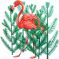 手绘-热带动植物组合贴纸-火烈鸟