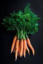 Photograph Carrots by Amy Roth on 500px