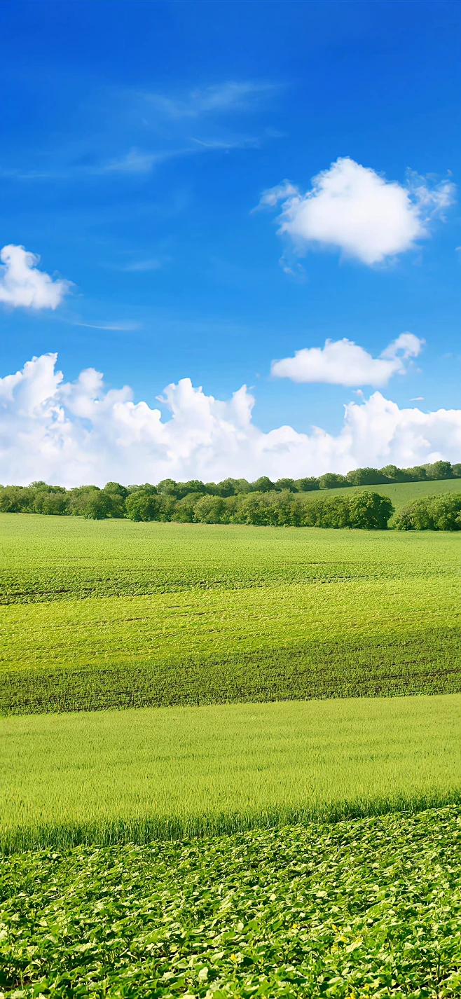 山山而川，不过尔尔内的花瓣采集图片-南巷清风Nan