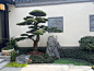 中式庭院 - 小红书