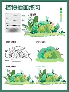 扁平风植物插画‖灌木丛_1_和季画画_来自小红书网页版-2