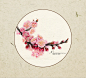 一组植物-一明_扇面_涂鸦王国插画