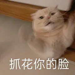 求一些生气表情包 ​... - @橘猫沙梨Sally的微博 - 微博
