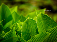 LeeJongSuk0采集到看美丽风景