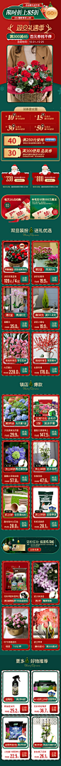 #虹越天猫旗舰店#双旦页面#双旦礼遇季#2020#花卉#果树#绿植盆栽#Miss Zhang