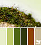 moss hues