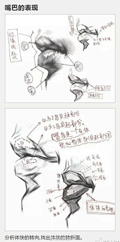 白鹿猿采集到素描人像结构