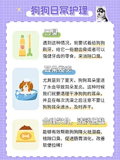 宠物知识科普小红书配图