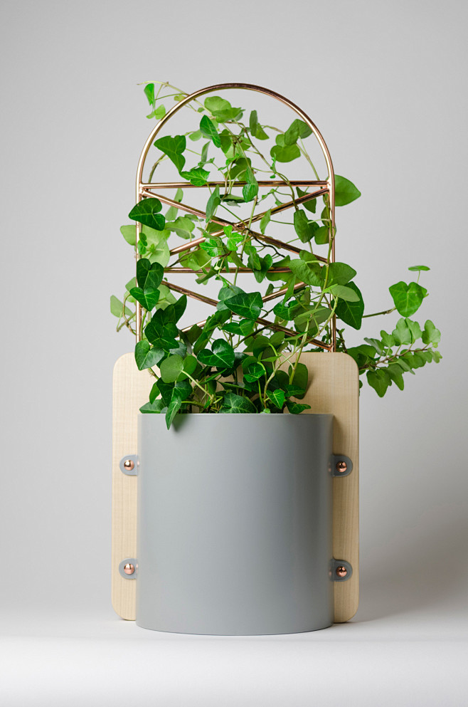 可以提拿并且方便植物支撑和固定的口袋花盆...
