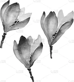 水彩画,绘画插图,仅一朵花,形状,绿色,式样,条纹,布置,重复